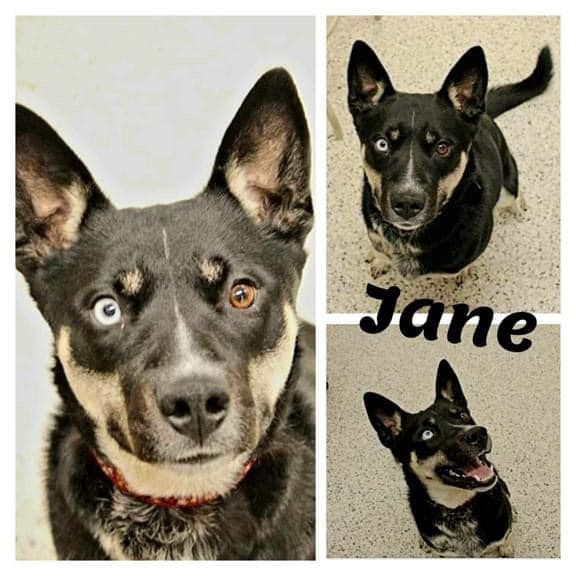 Photo de Jane