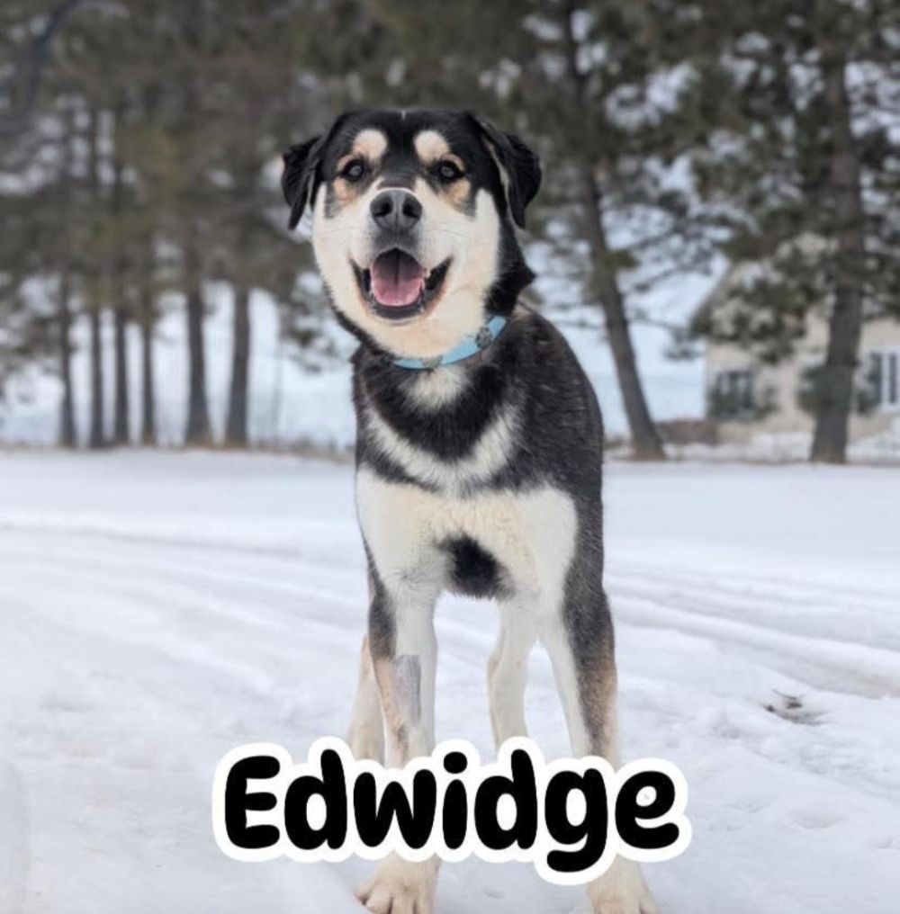 Photo de Edwige