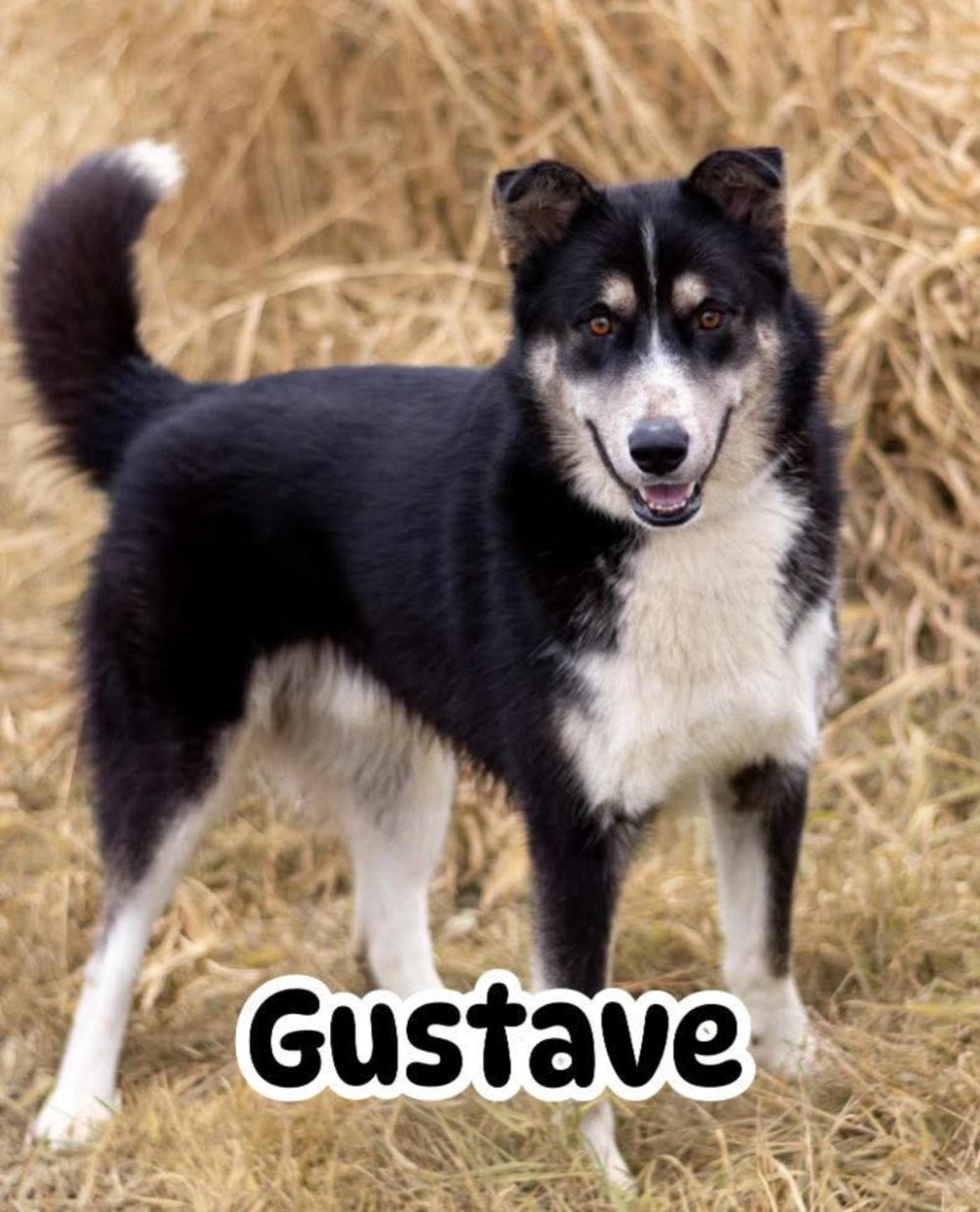 Photo de Gustave