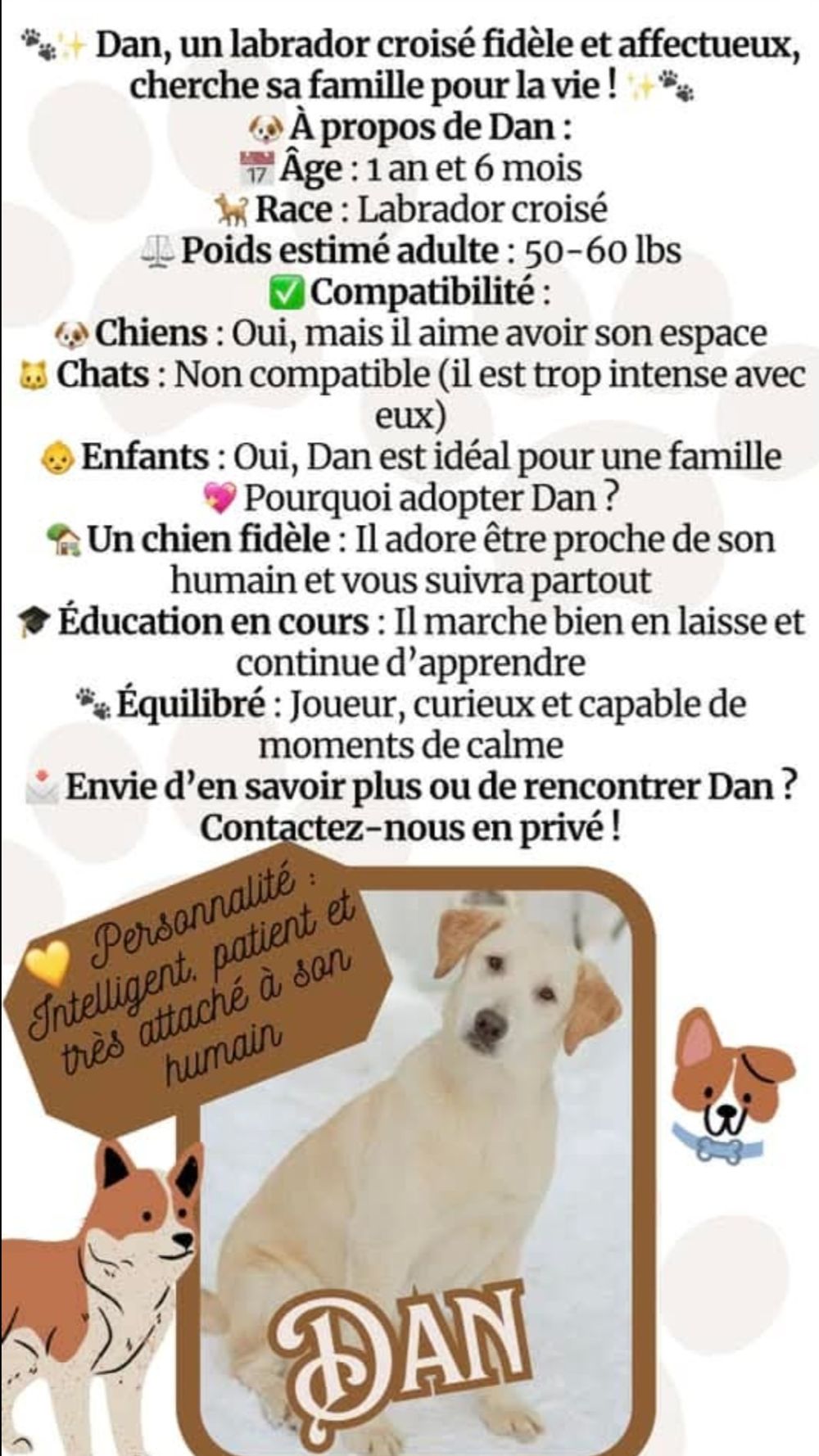 Photo de Dan