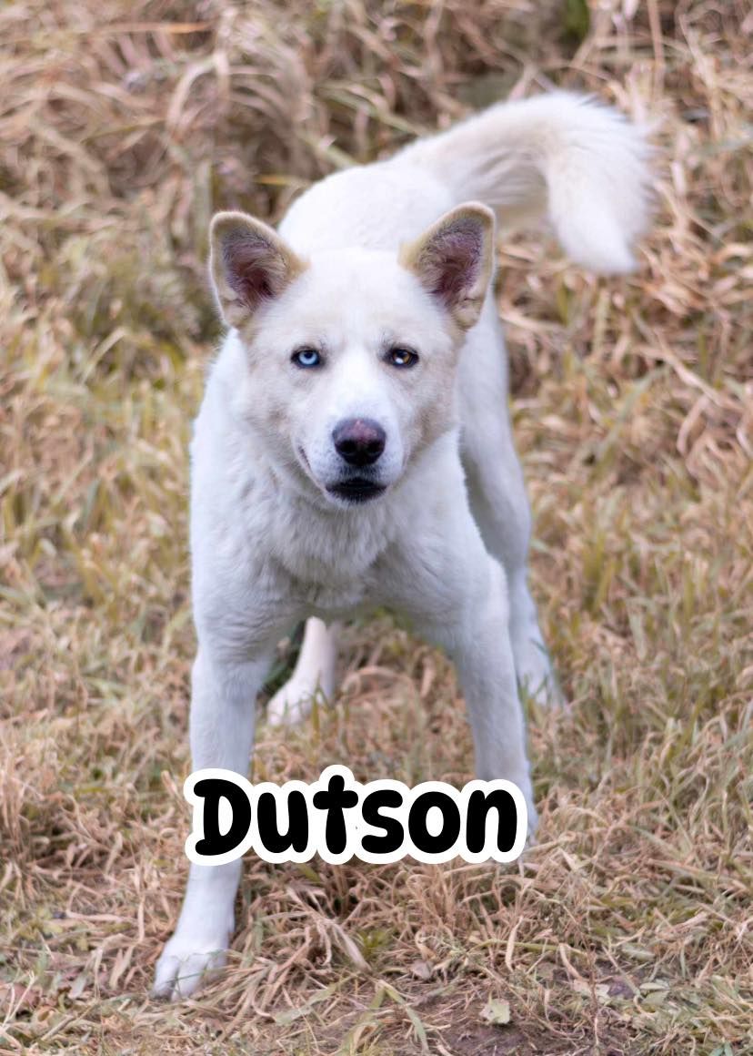 Photo de Dotson