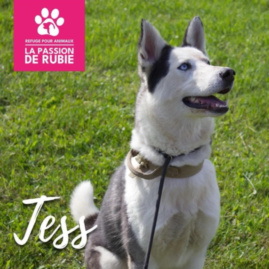 Photo de tess