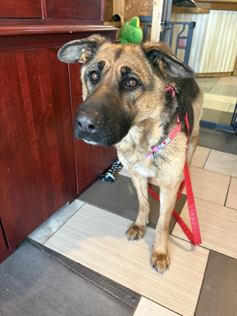 Photo de pauvre tite