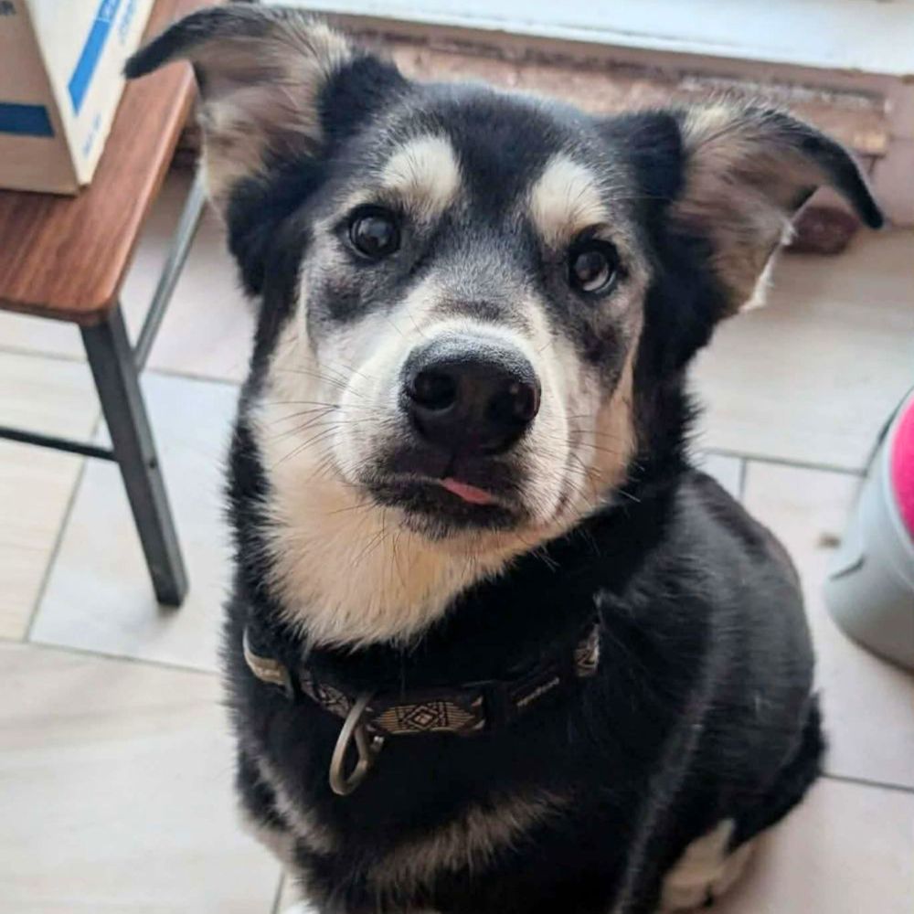 Photo de Thunder