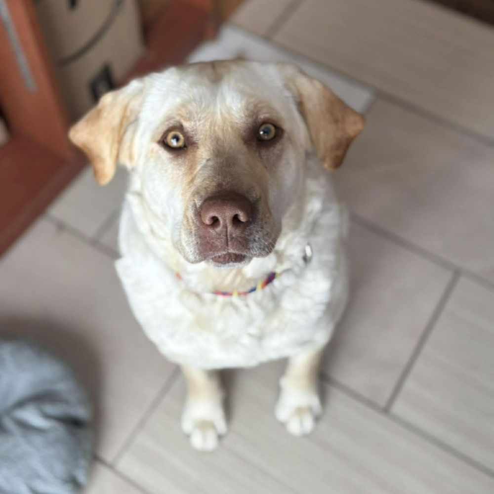 Photo de Mama