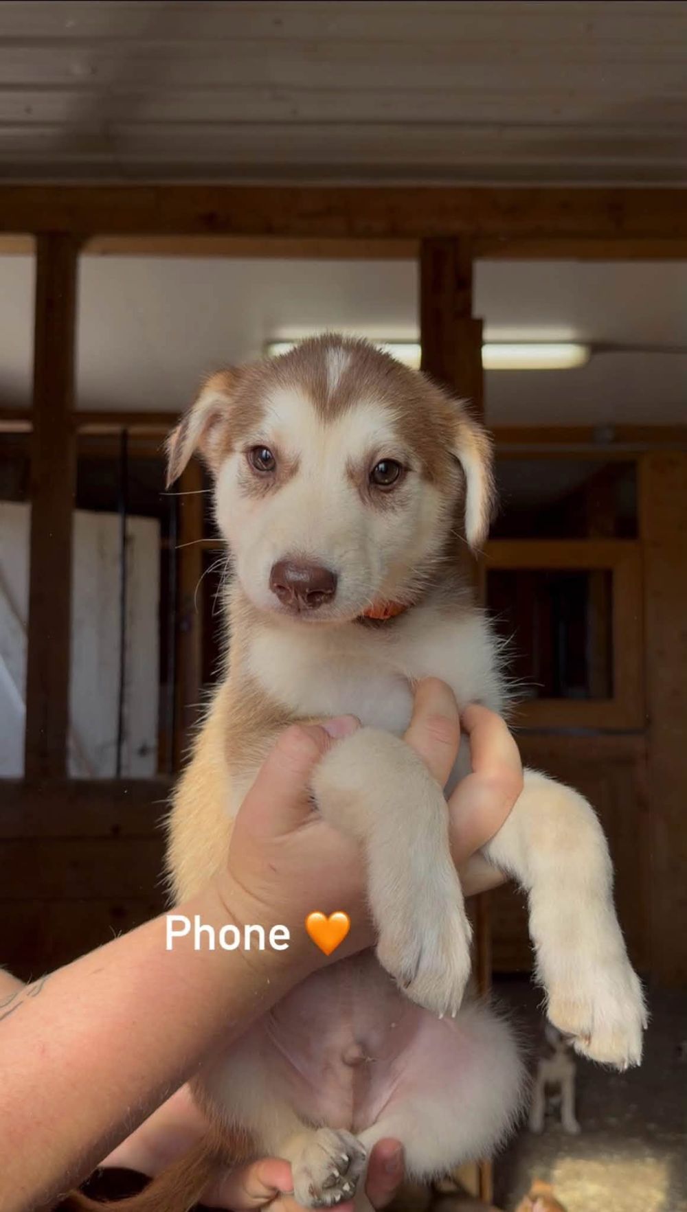 Photo de phone