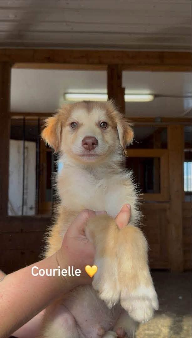 Photo de Courielle