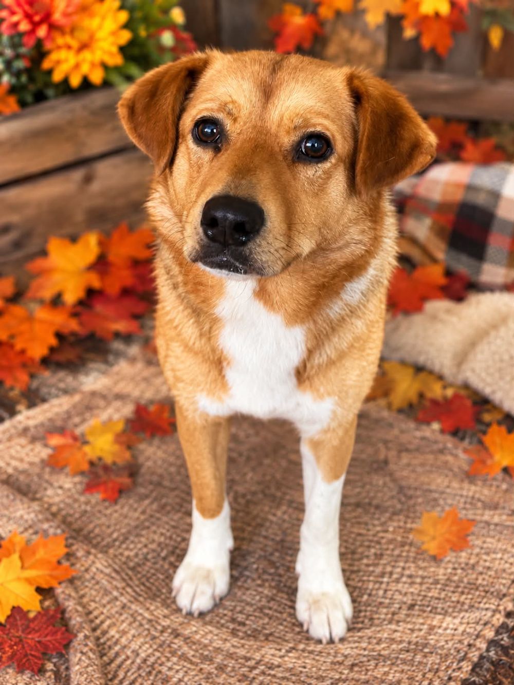 Photo de Bonnie